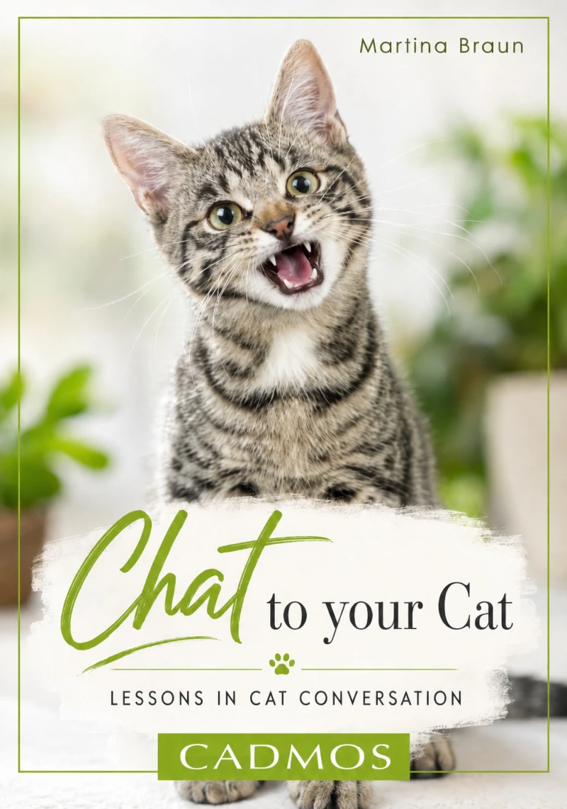 Portada: Chat to your Cat