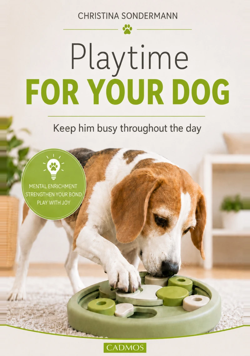 Portada: Playtime for your dog
