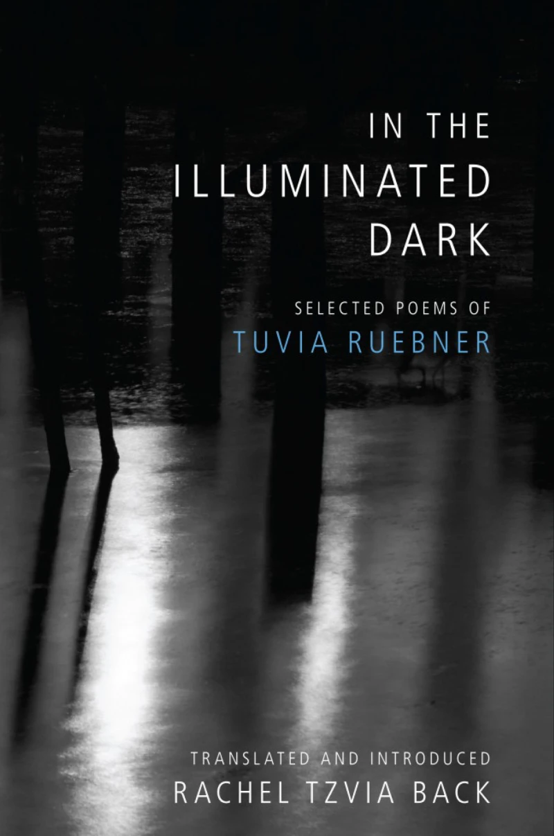 Portada: In the Illuminated Dark