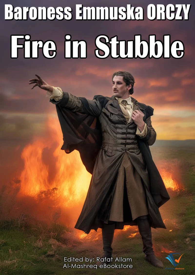 Portada: Fire in Stubble