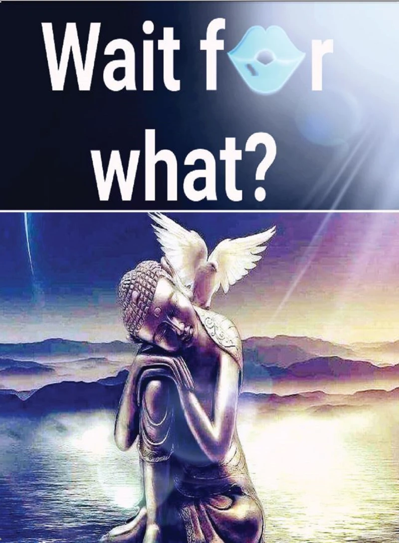 Portada: Wait for What?
