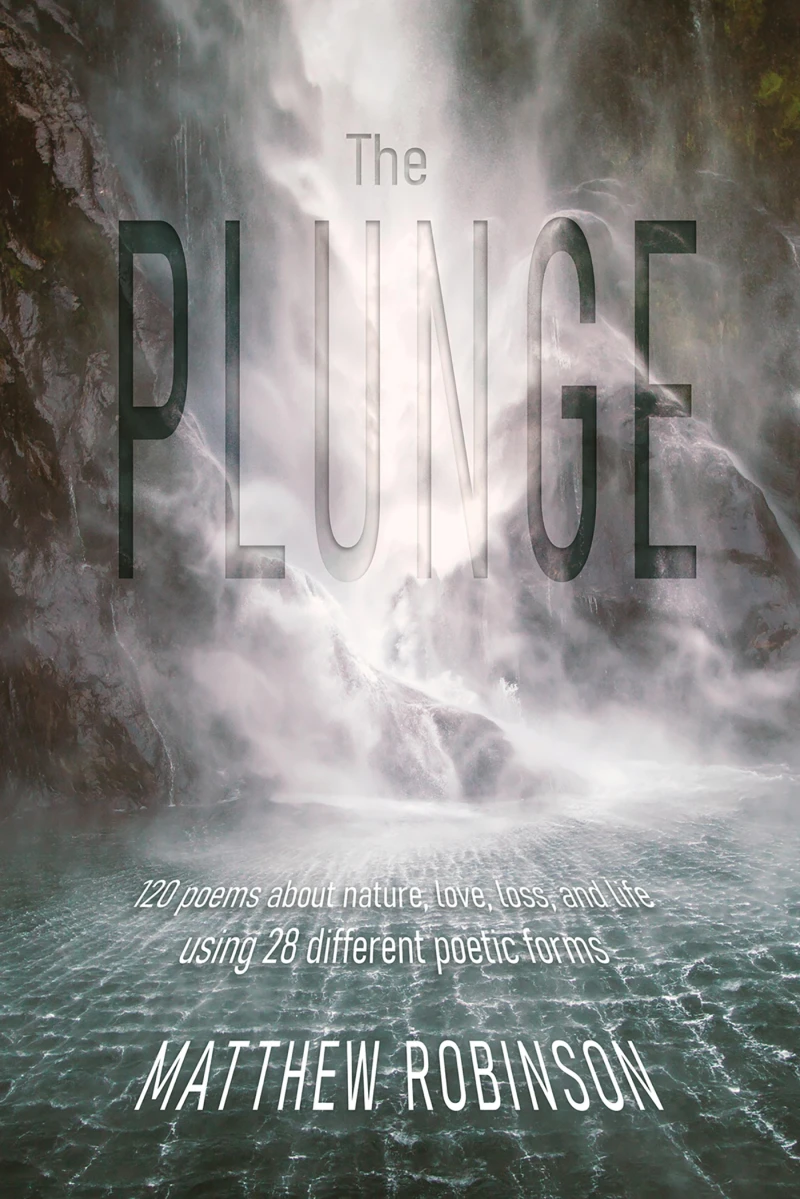 Portada: The Plunge