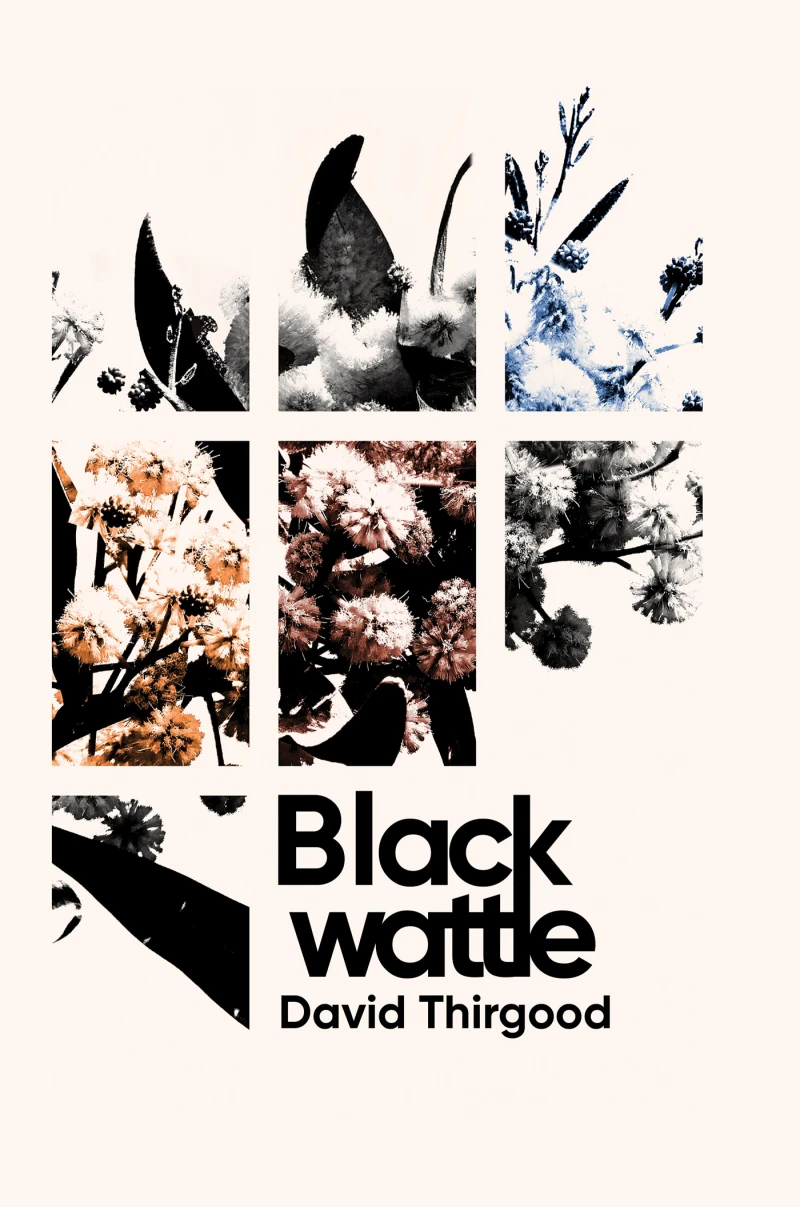 Portada: Blackwattle