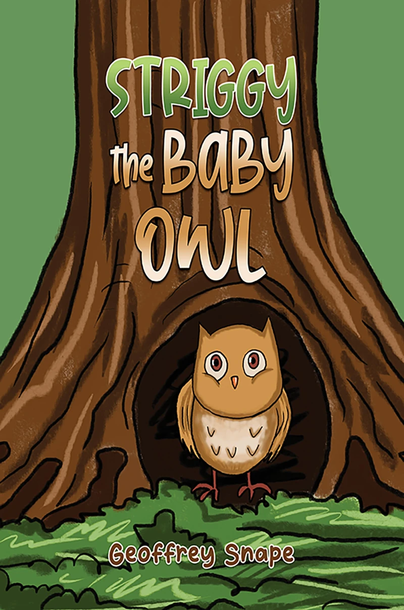 Portada: Striggy the Baby Owl