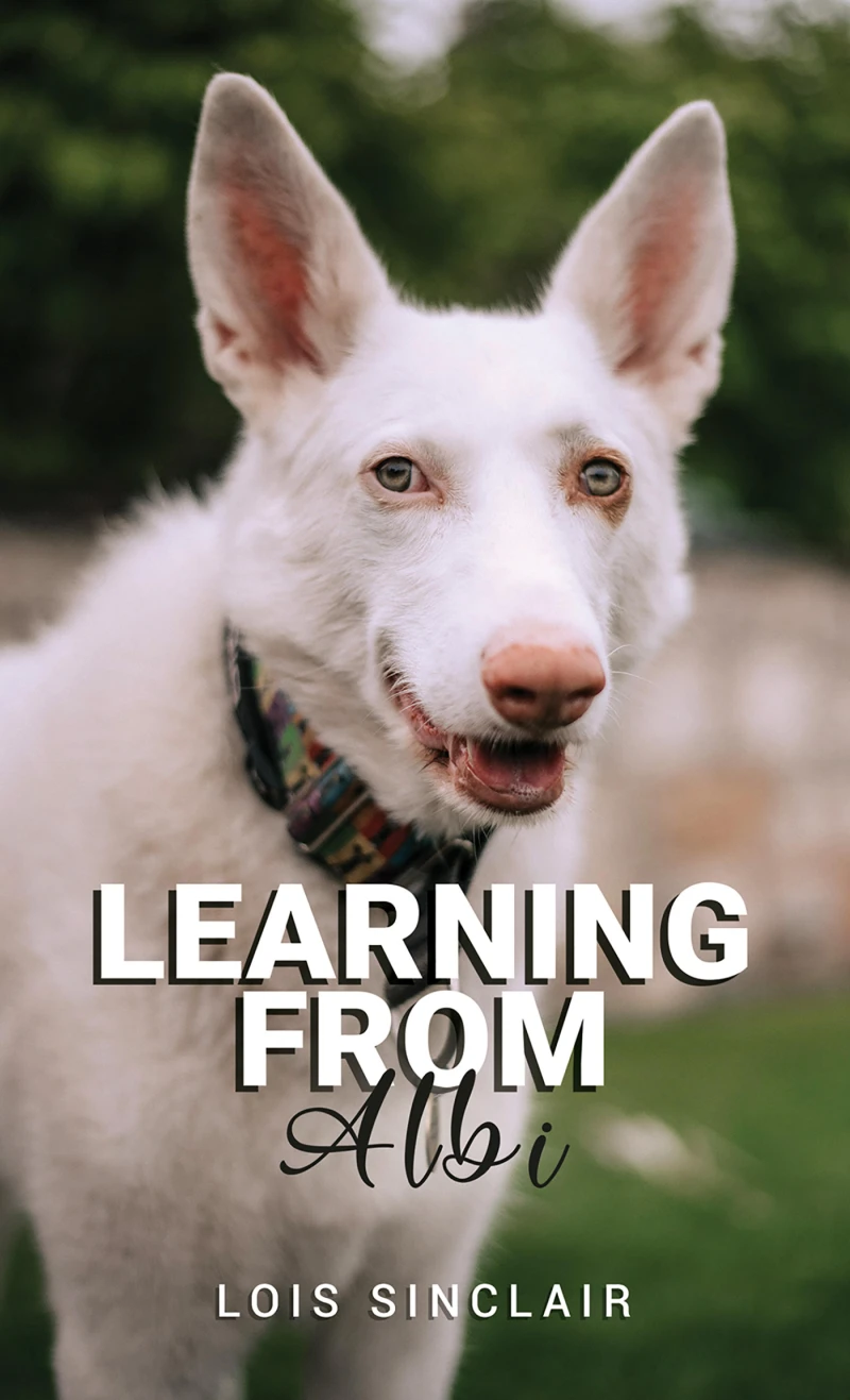 Portada: Learning from Albi