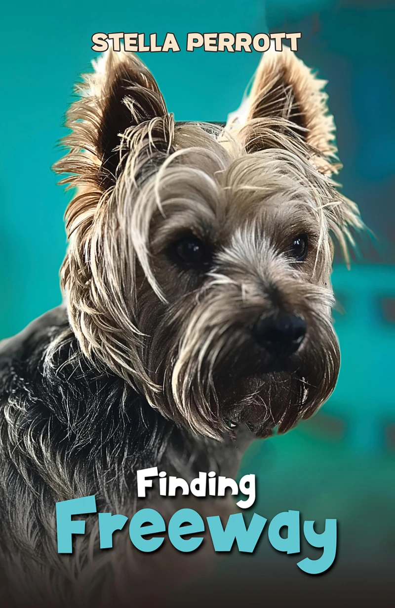 Portada: Finding Freeway
