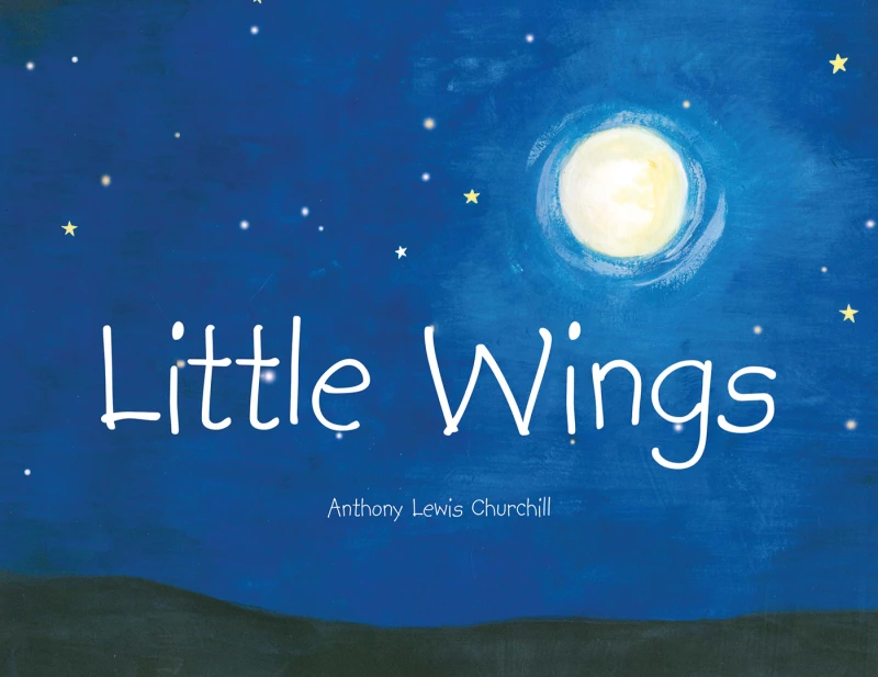 Portada: Little Wings