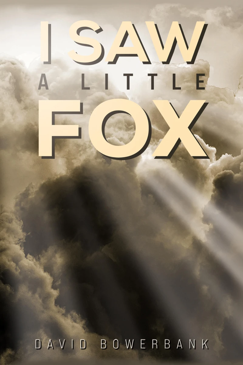 Portada: I Saw a Little Fox