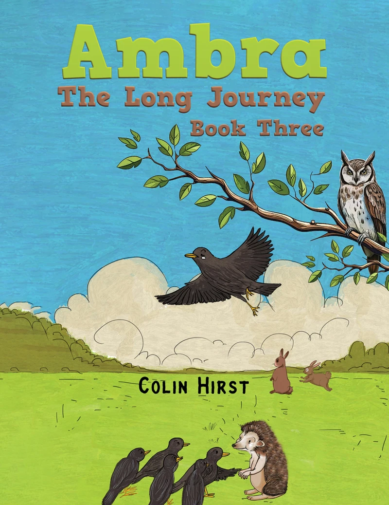 Portada: Ambra: The Long Journey