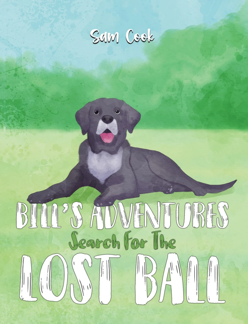 Portada: Bill's Adventures: Search for the Lost Ball