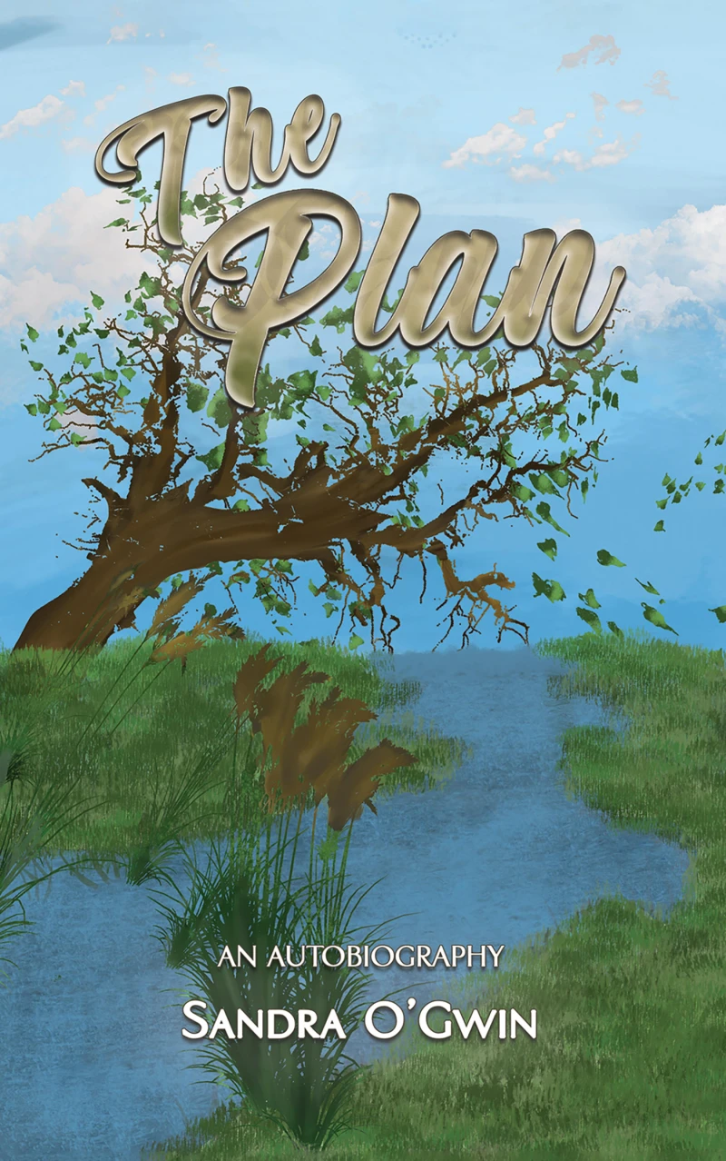 Portada: The Plan