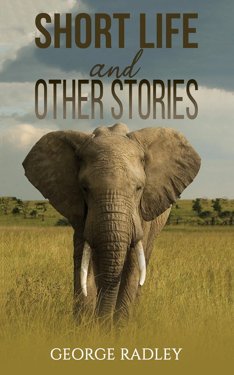 Portada: Short Life and Other Stories