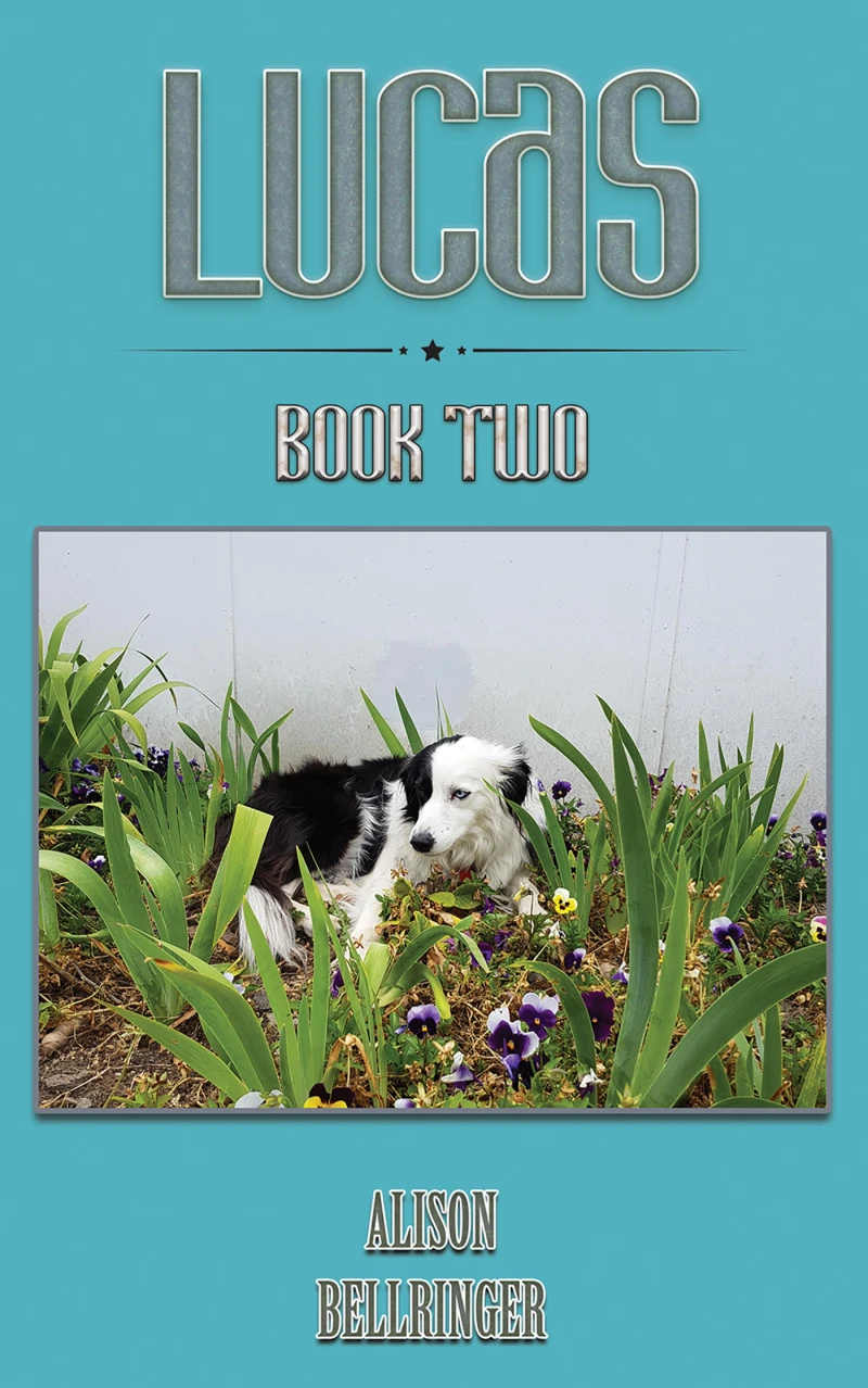 Portada: Lucas