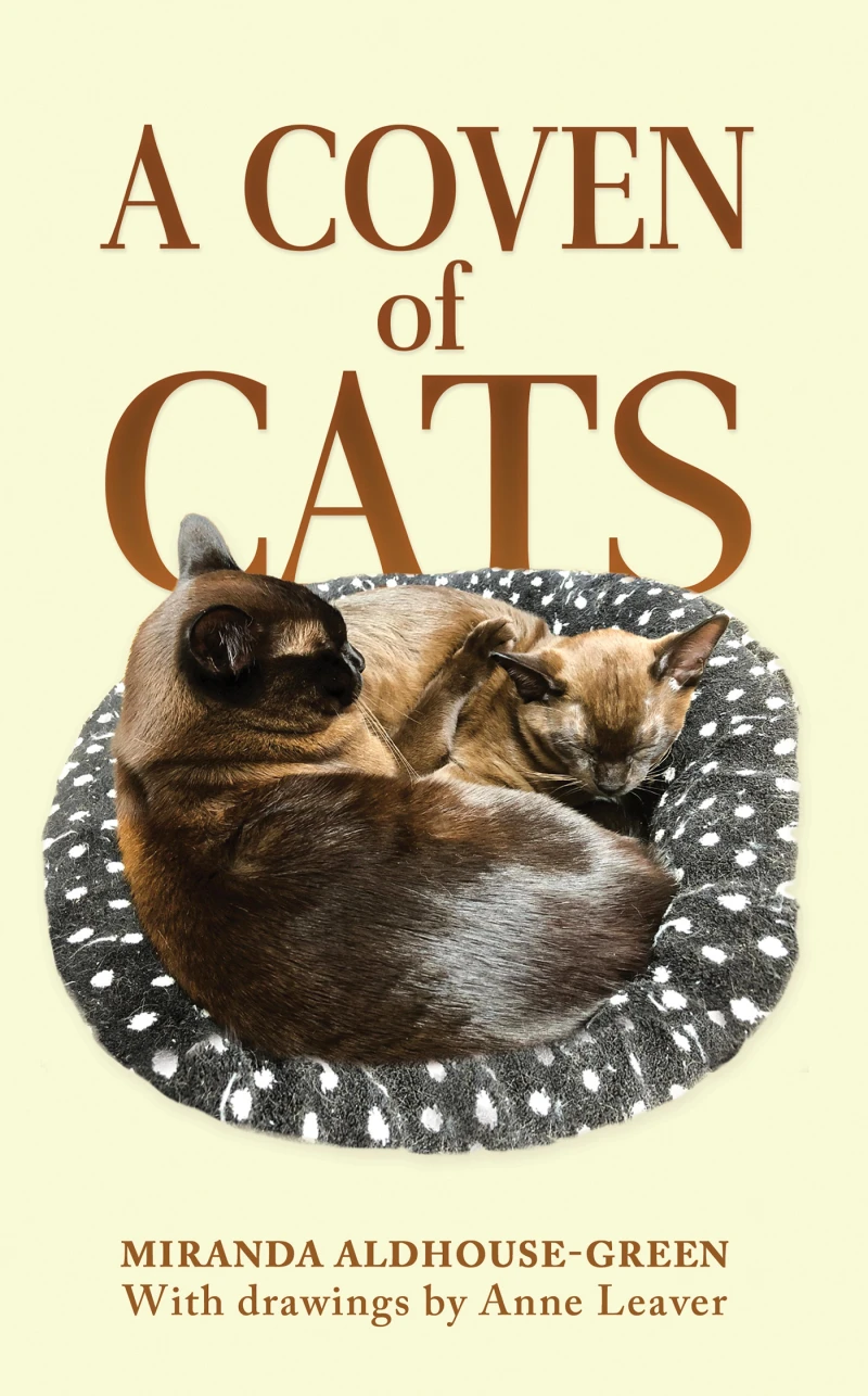 Portada: A Coven of Cats