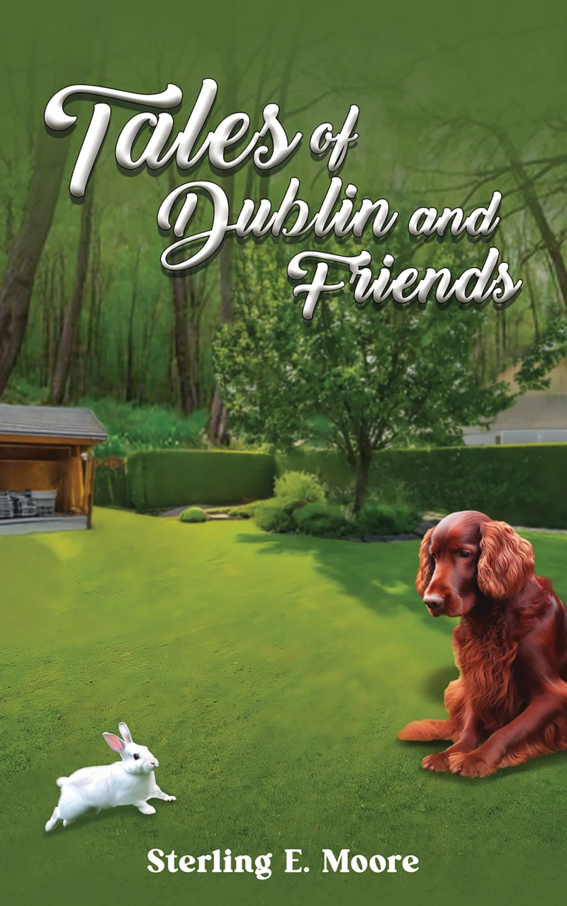 Portada: Tales of Dublin and Friends