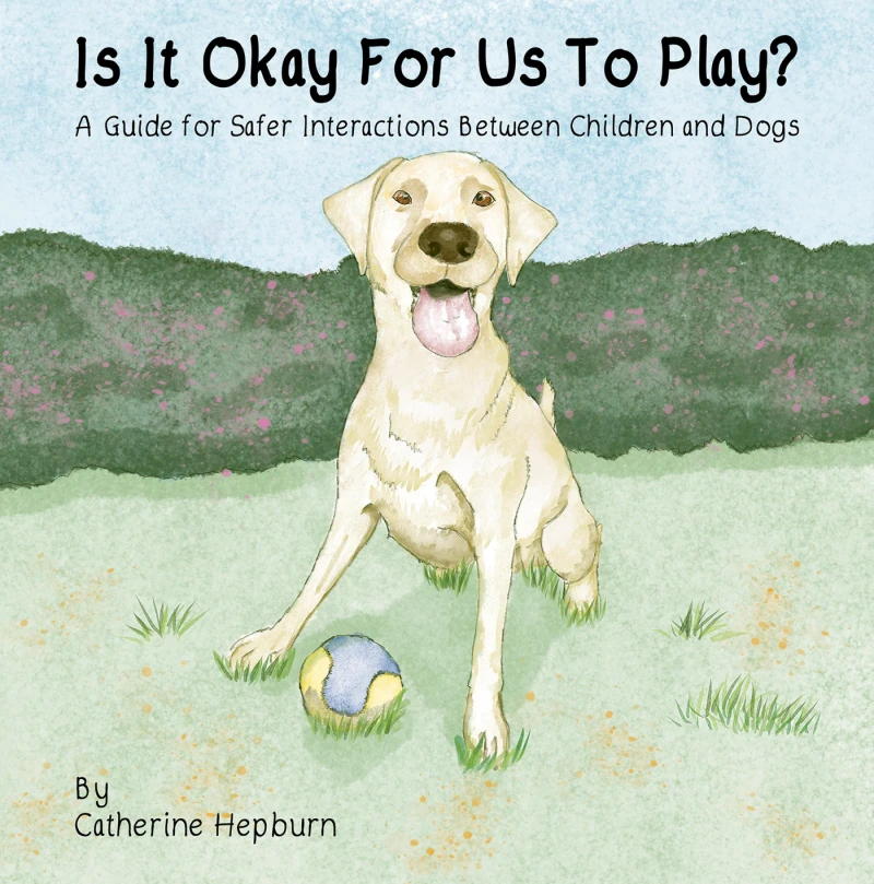 Portada: Is It Okay For Us To Play?