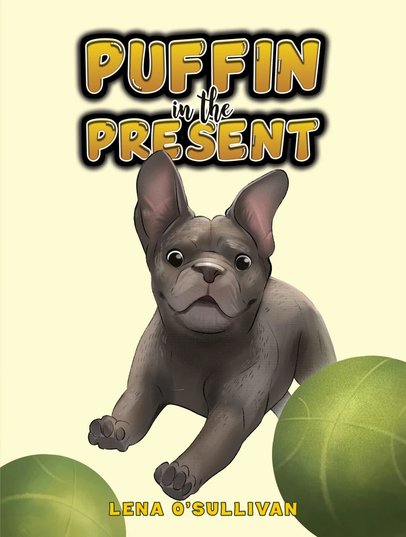 Portada: Puffin in the Present