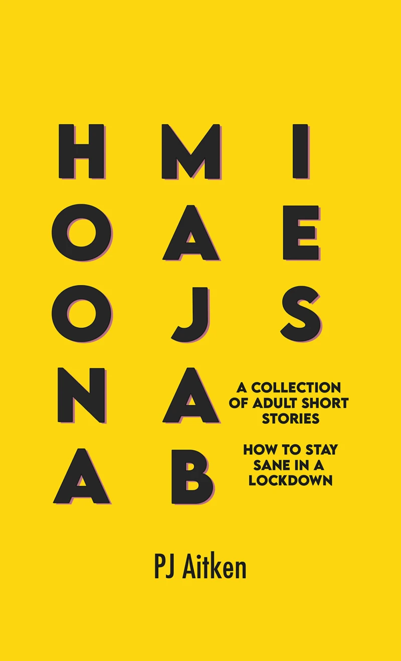 Portada: Hoonamajabies - A Collection of Adult Short Stories
