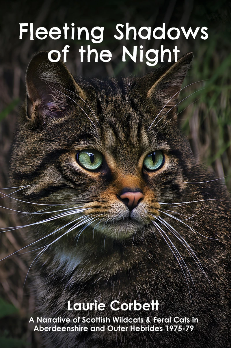 Portada: Fleeting Shadows of the Night