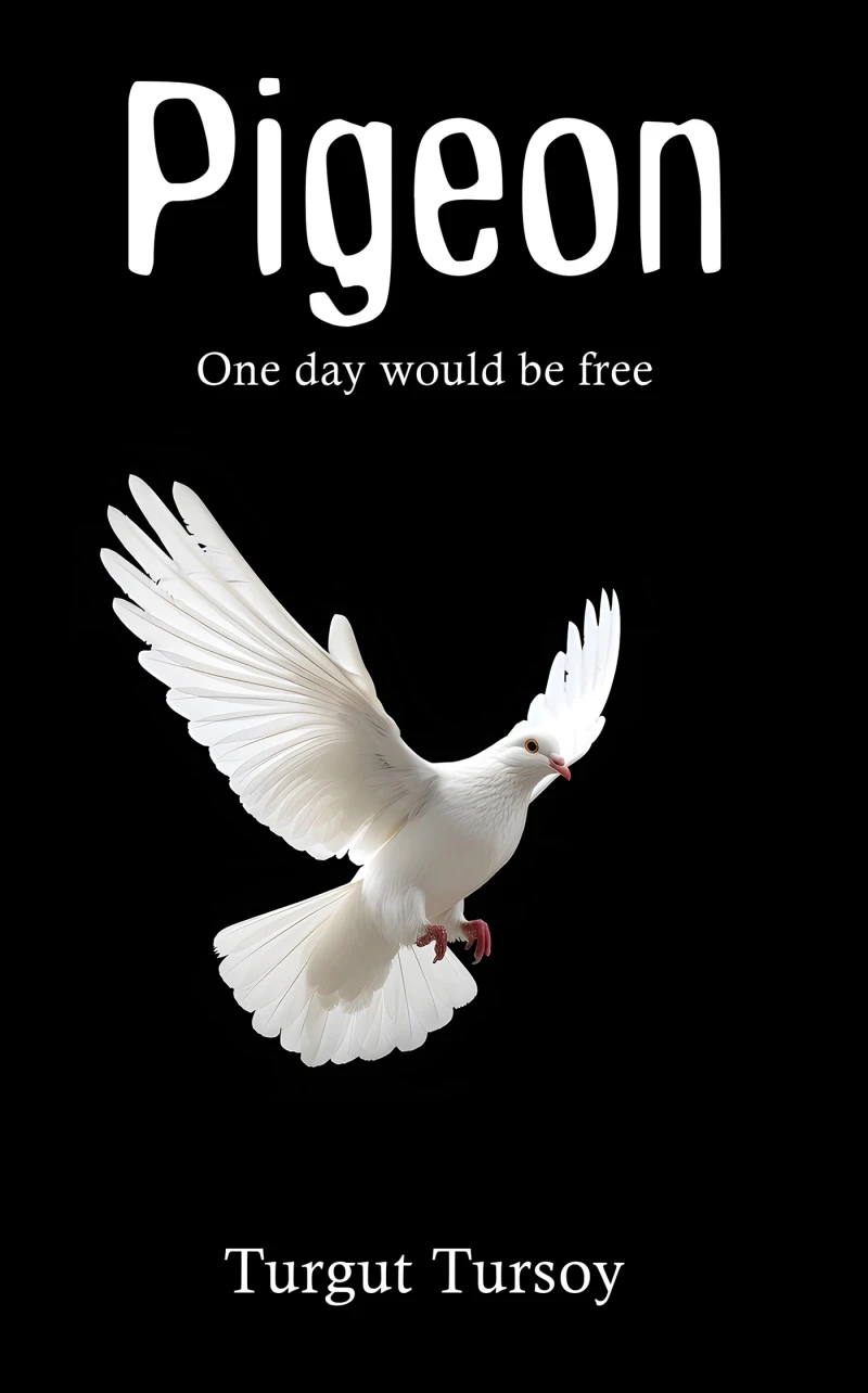 Portada: Pigeon