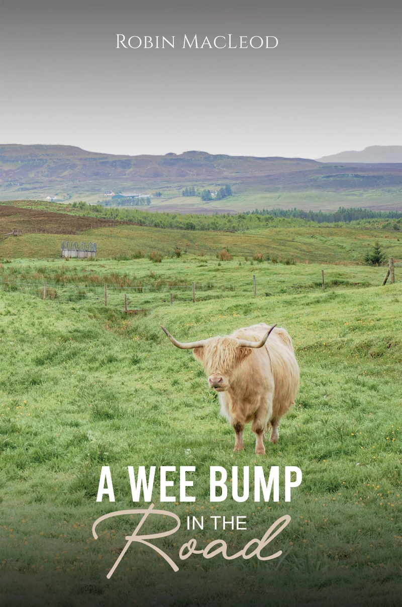 Portada: A Wee Bump in the Road
