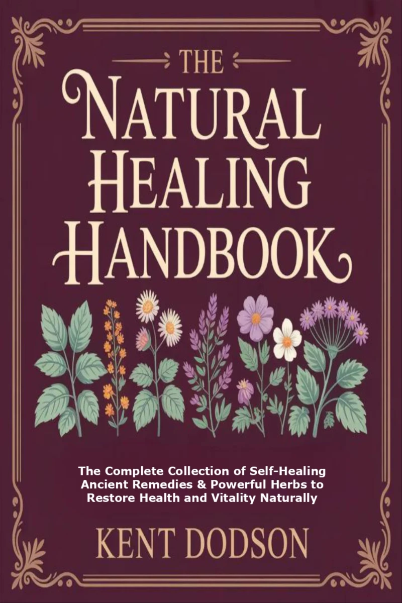 Portada: The Natural Healing Handbook