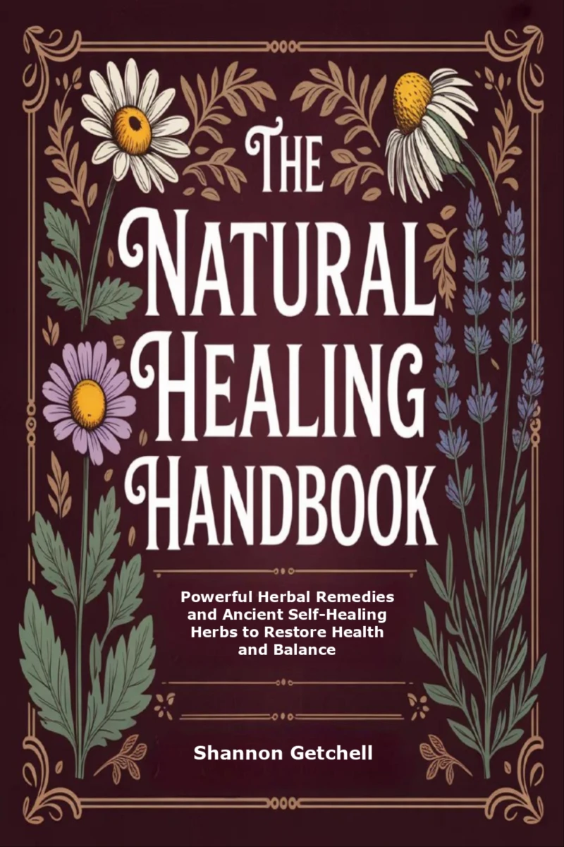 Portada: The Natural Healing Handbook