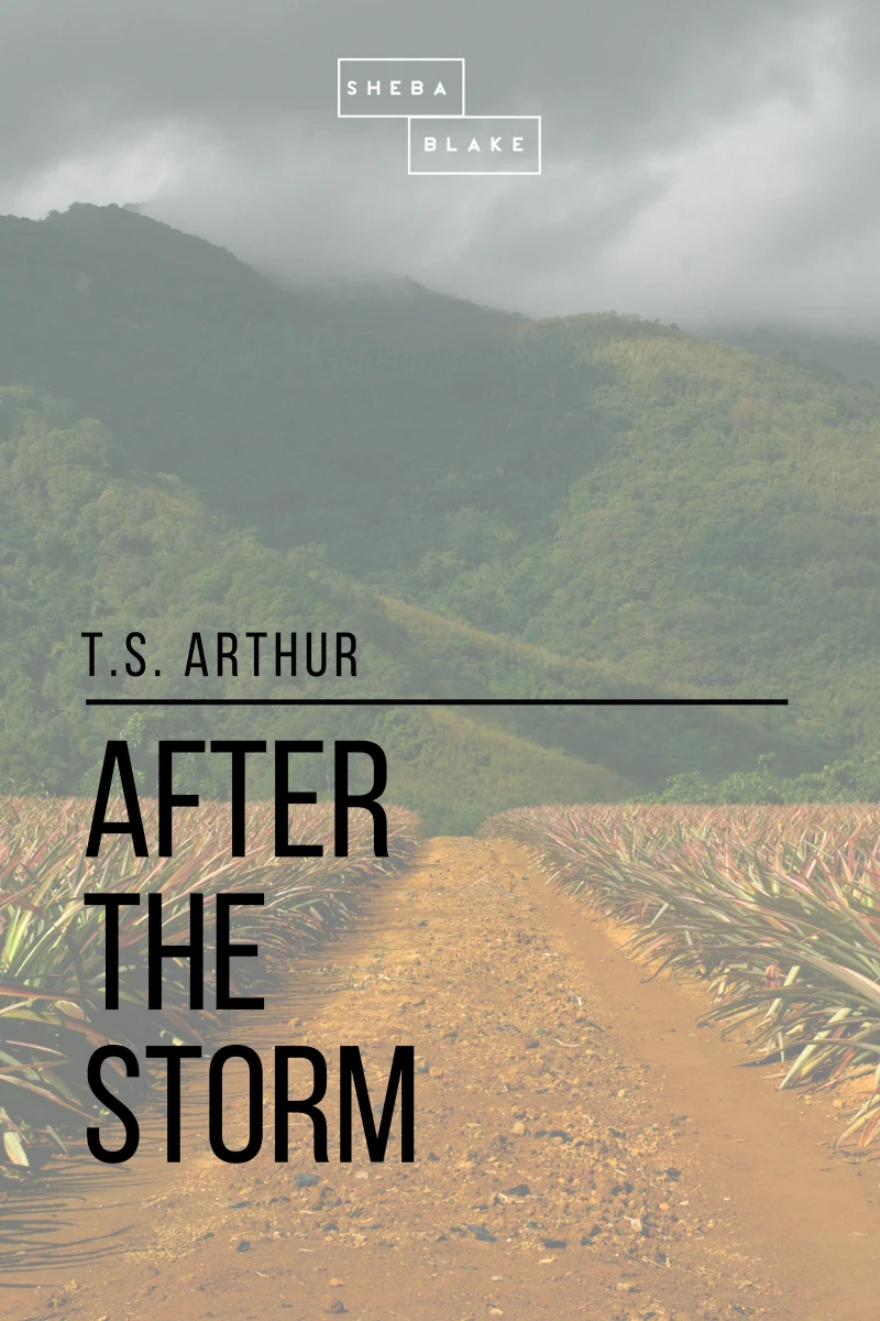 Portada: After the Storm