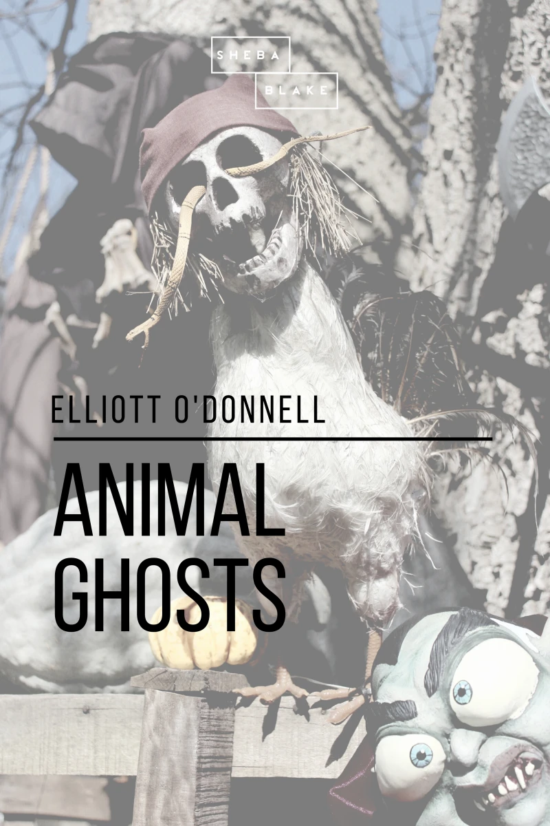 Portada: Animal Ghosts