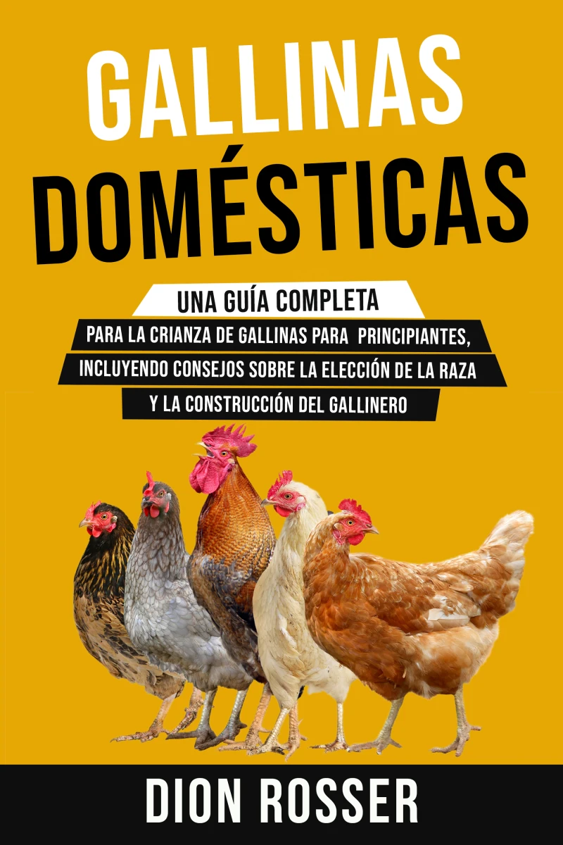Portada: Gallinas domésticas