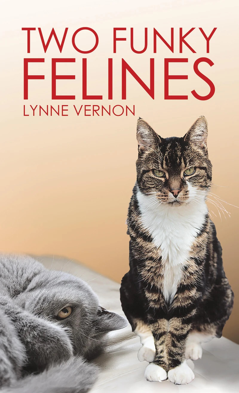 Portada: Two Funky Felines