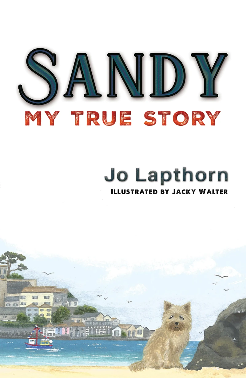 Portada: Sandy