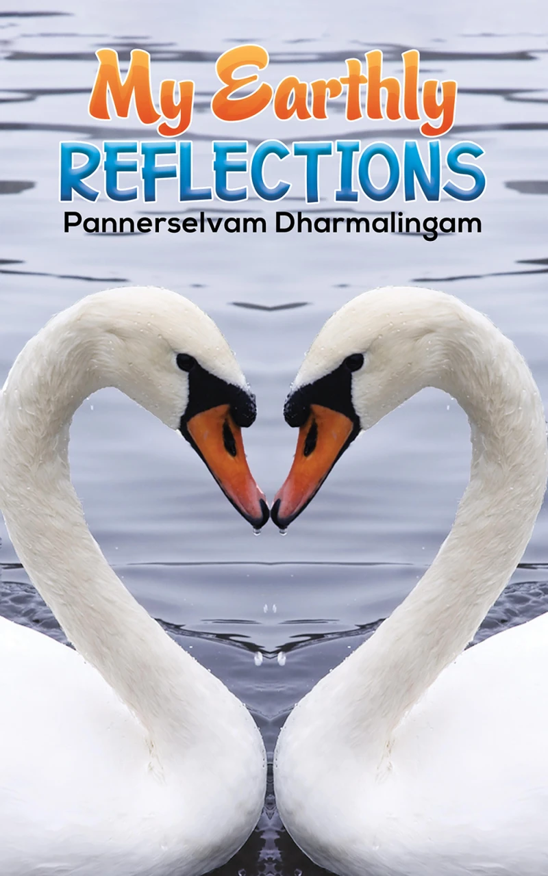 Portada: My Earthly Reflections