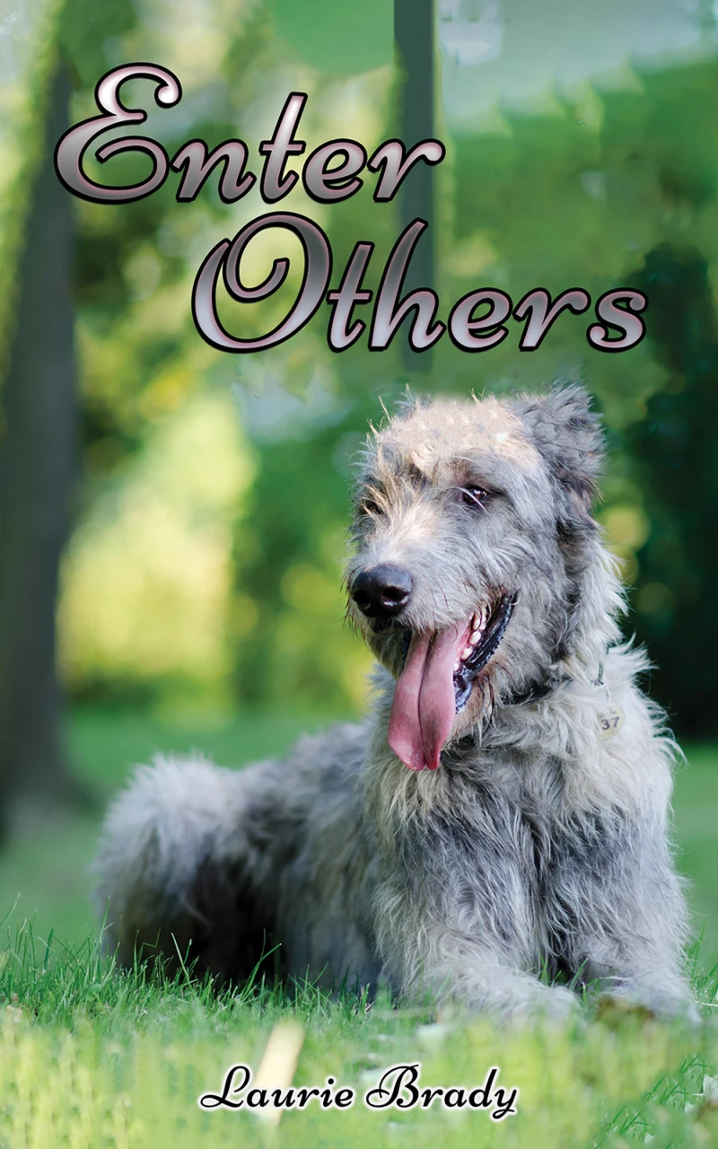 Portada: Enter Others