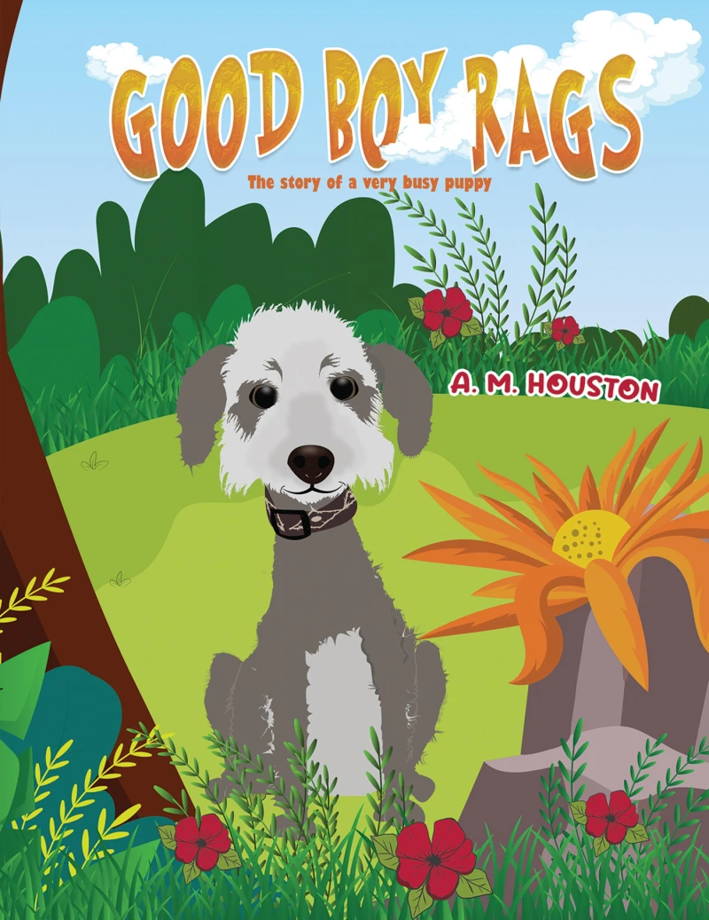 Portada: Good Boy Rags
