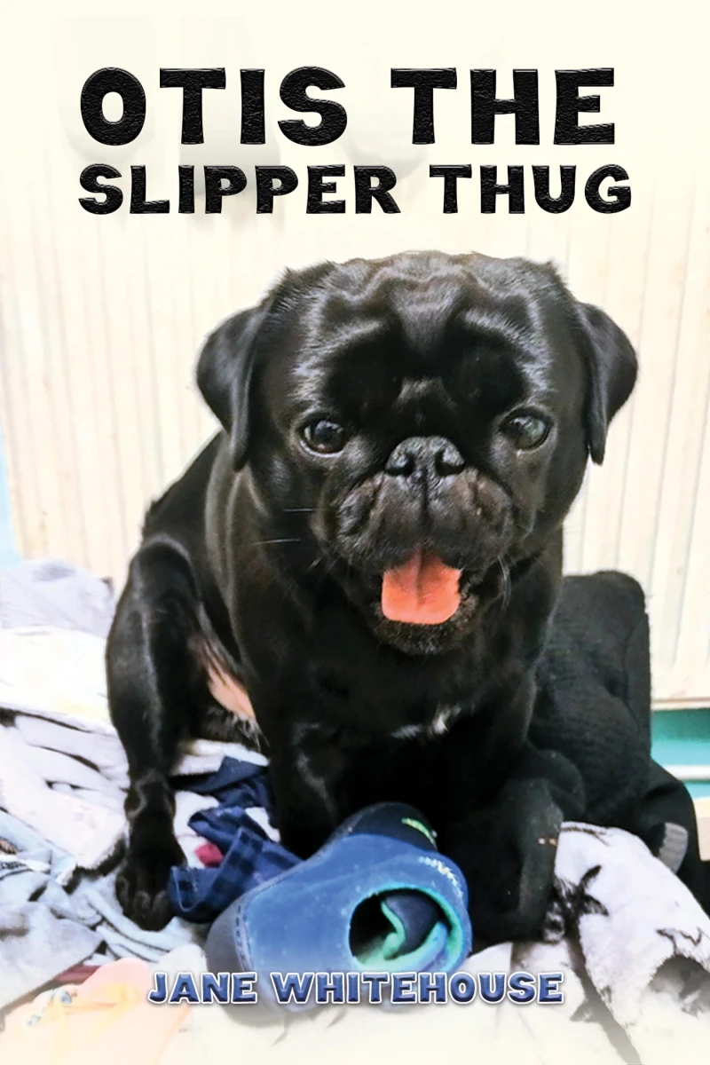 Portada: Otis the Slipper Thug