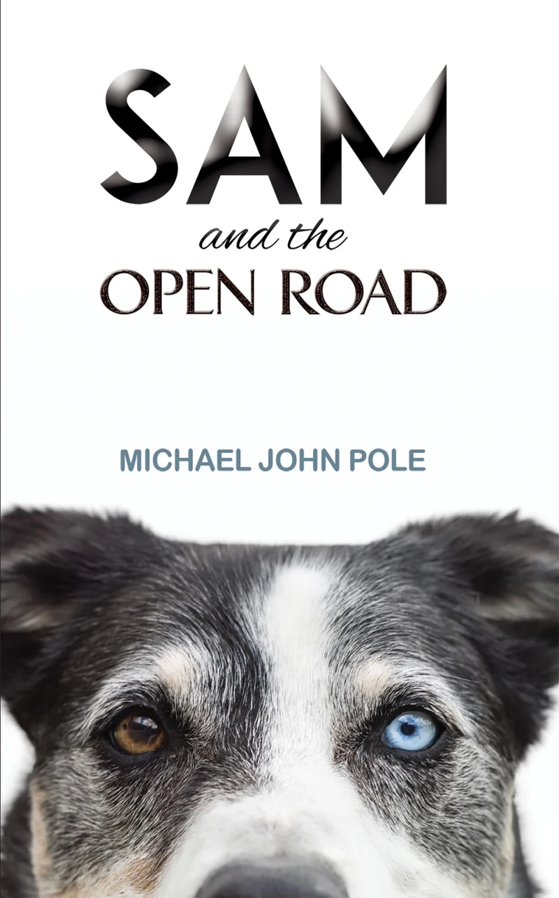 Portada: Sam and the Open Road