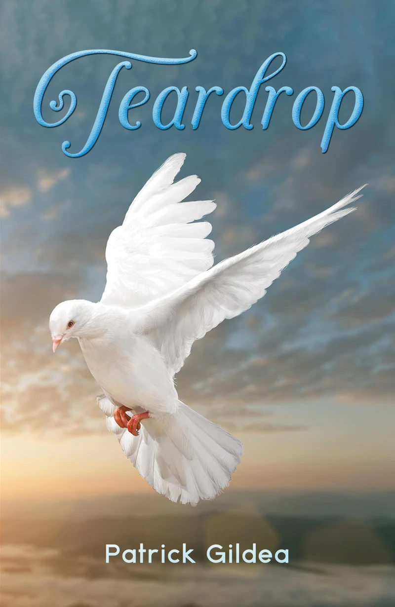 Portada: Teardrop