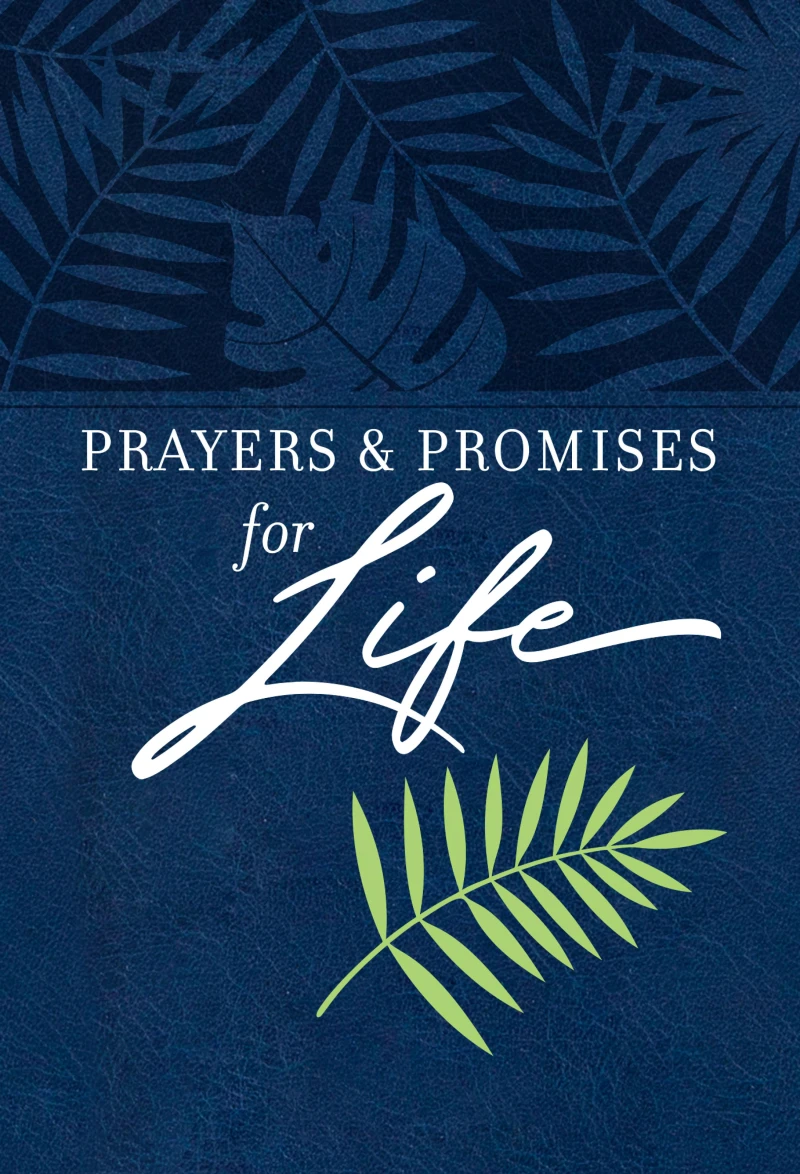 Portada: Prayers & Promises for Life