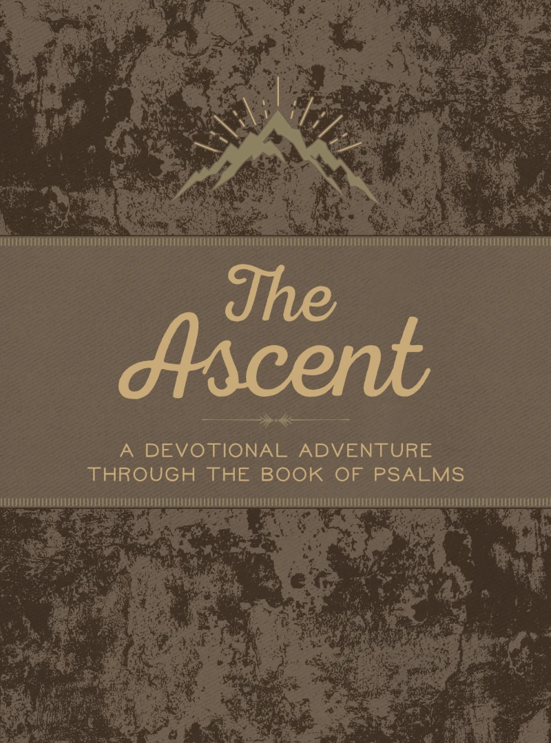 Portada: The Ascent