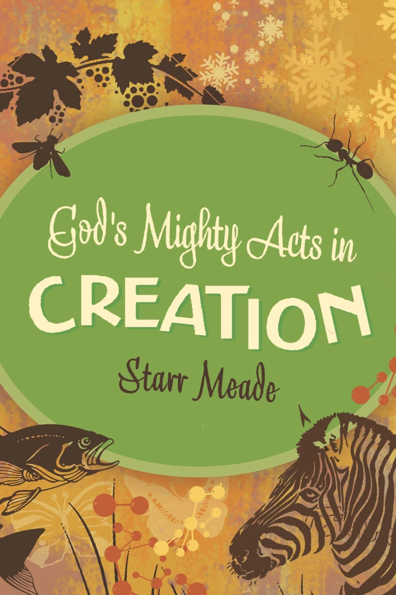 Portada: God's Mighty Acts in Creation
