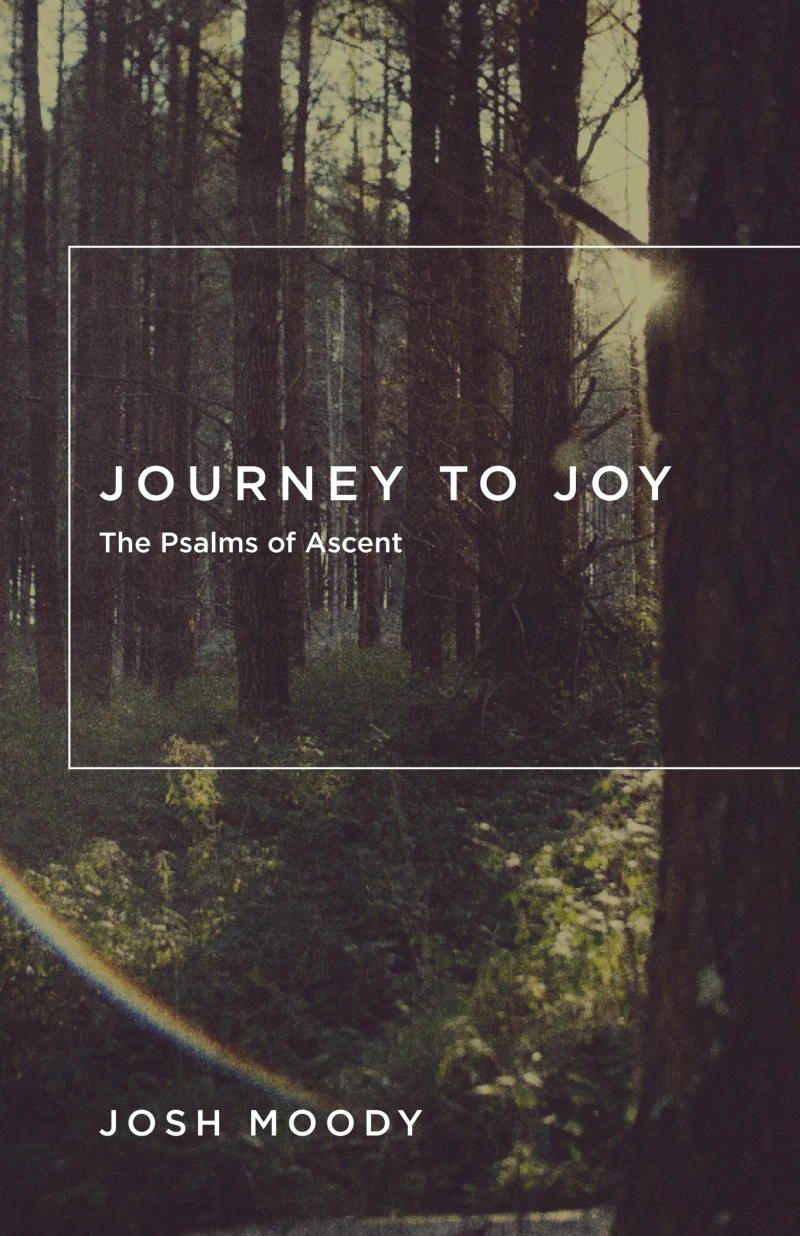 Portada: Journey to Joy