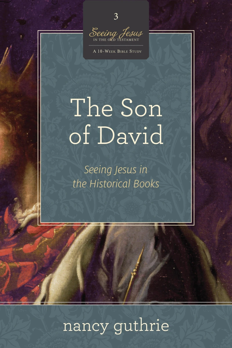 Portada: The Son of David (A 10-week Bible Study)