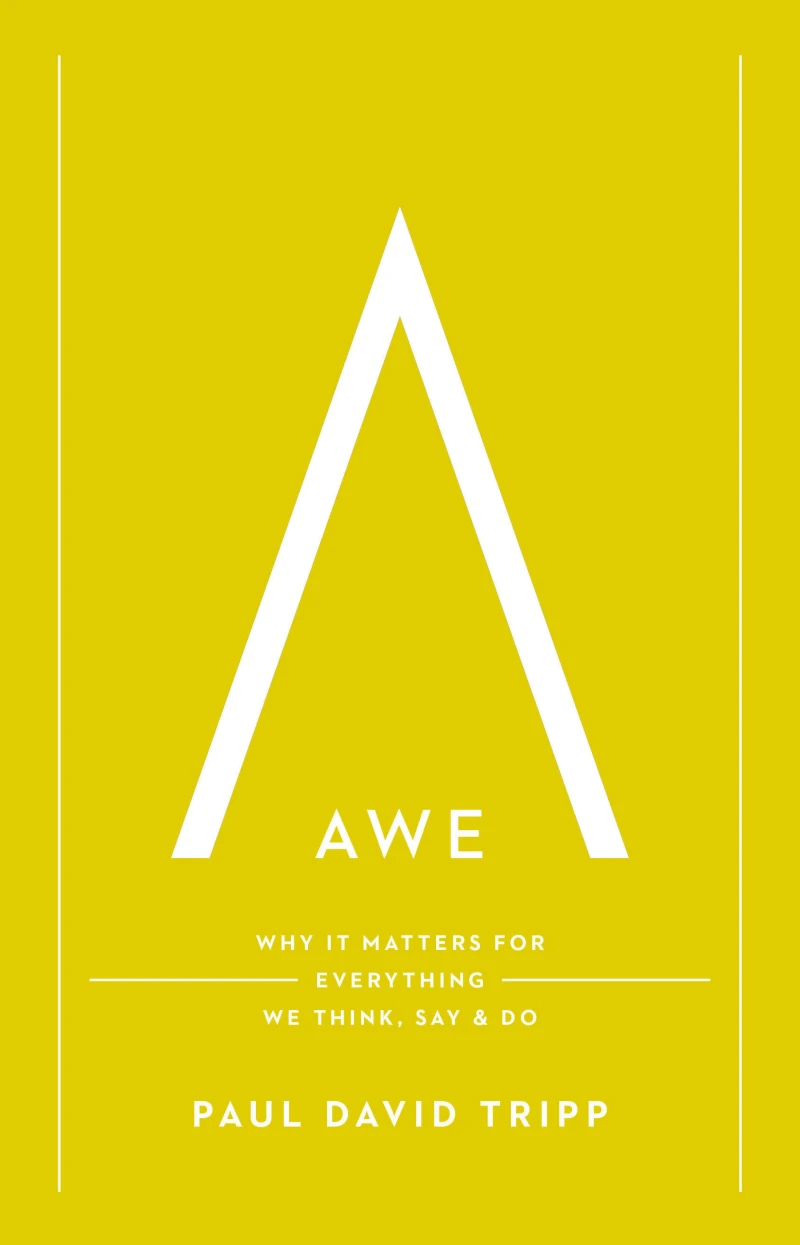 Portada: Awe
