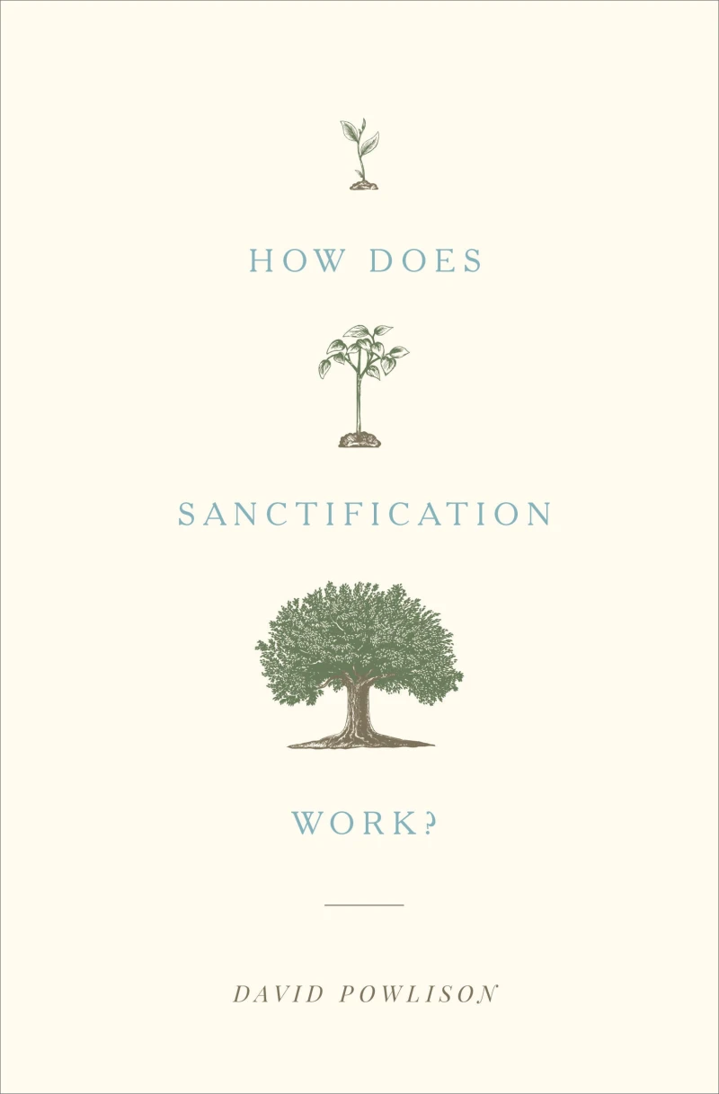 Portada: How Does Sanctification Work?