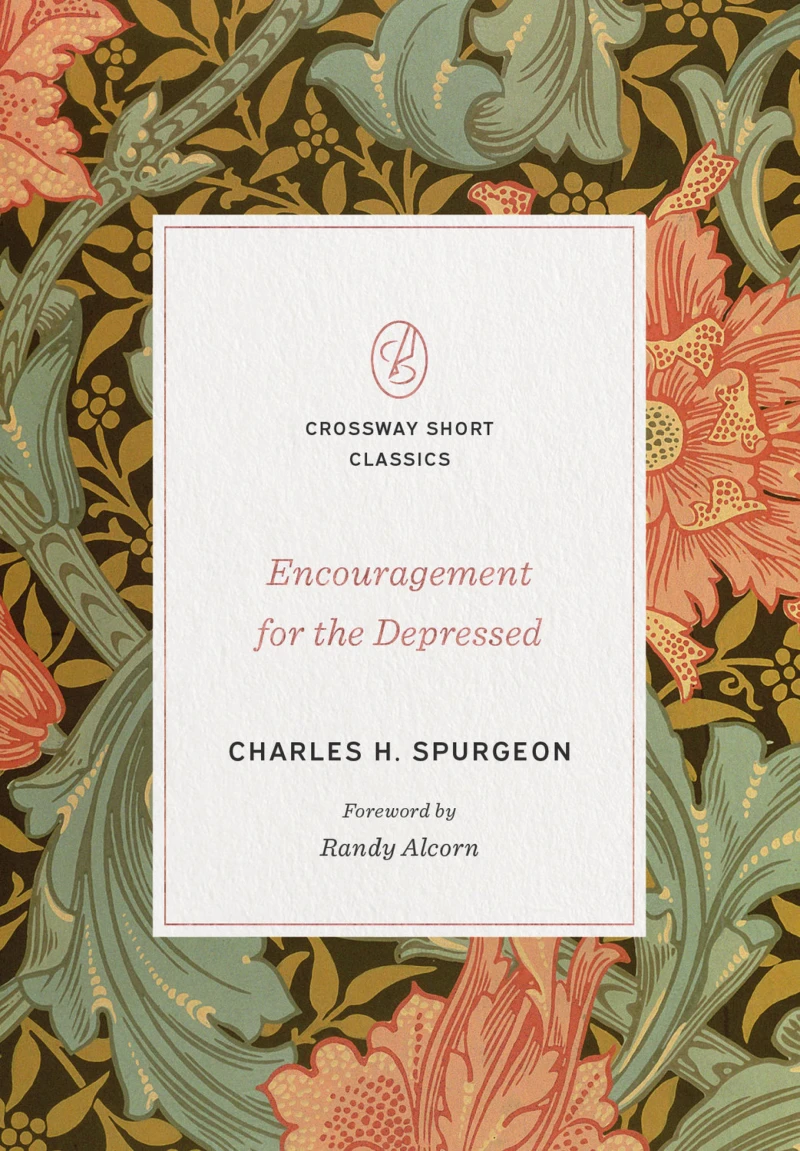 Portada: Encouragement for the Depressed