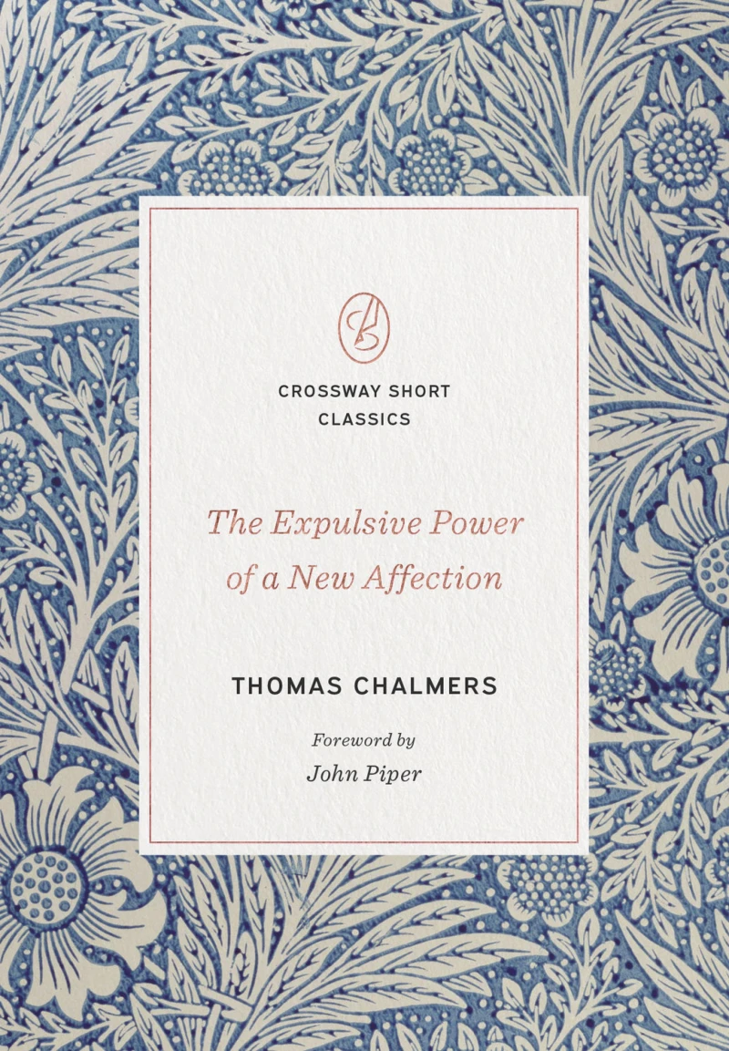 Portada: The Expulsive Power of a New Affection