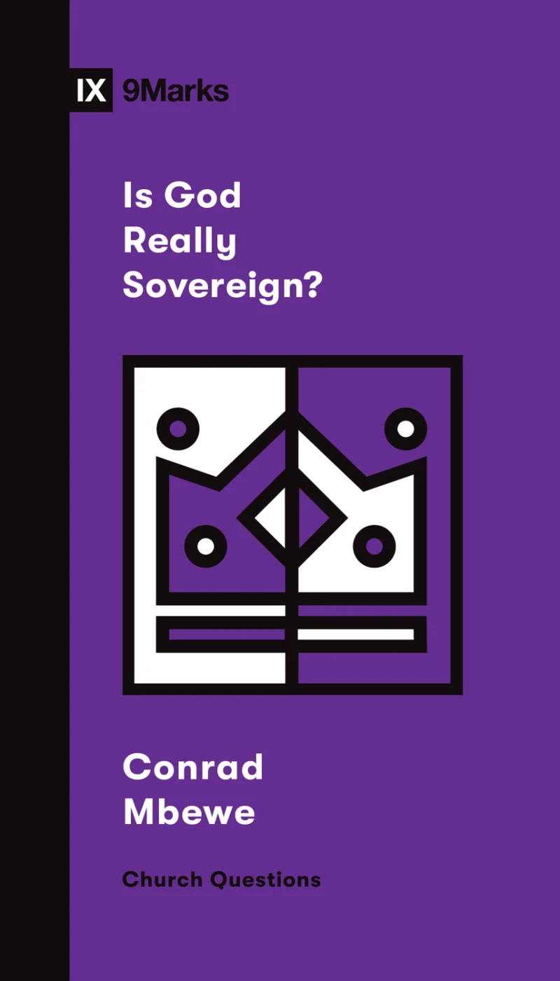 Portada: Is God Really Sovereign?