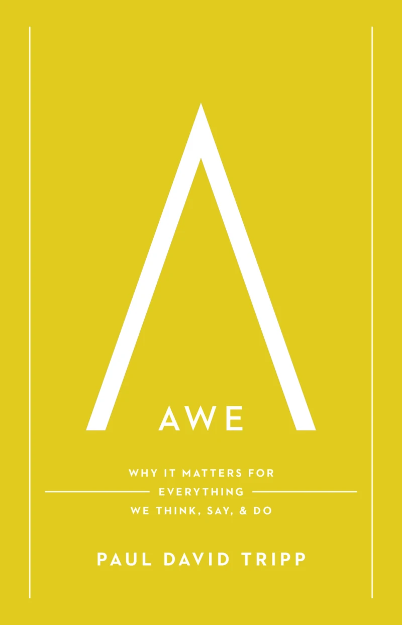 Portada: Awe (with Study Questions)