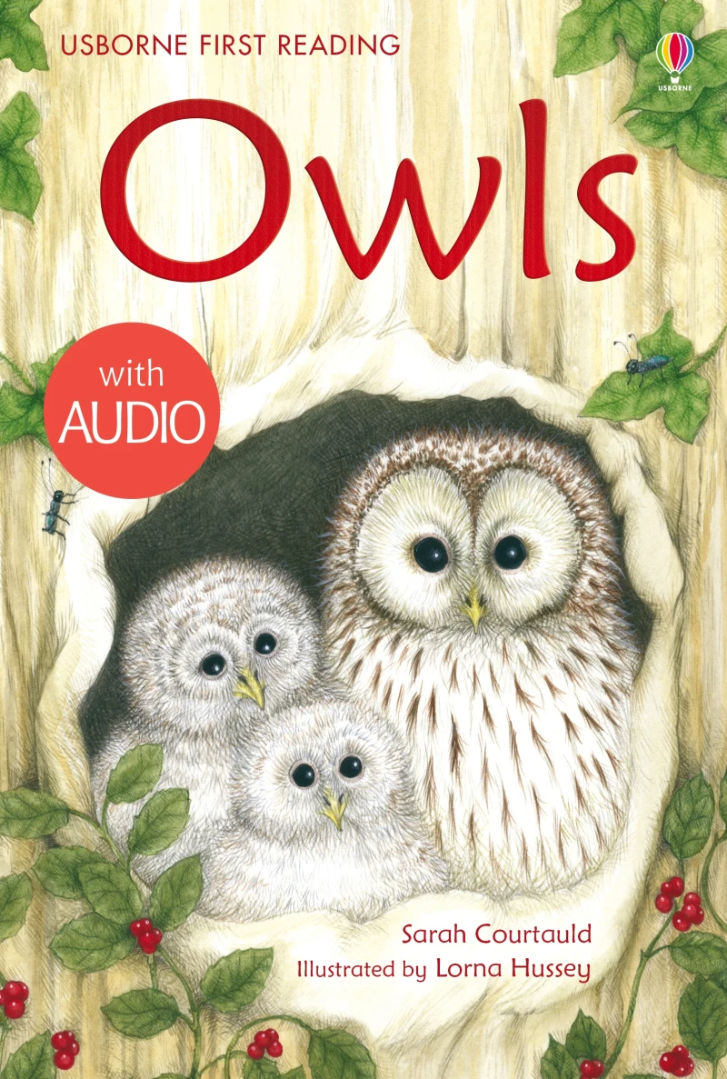 Portada: Owls